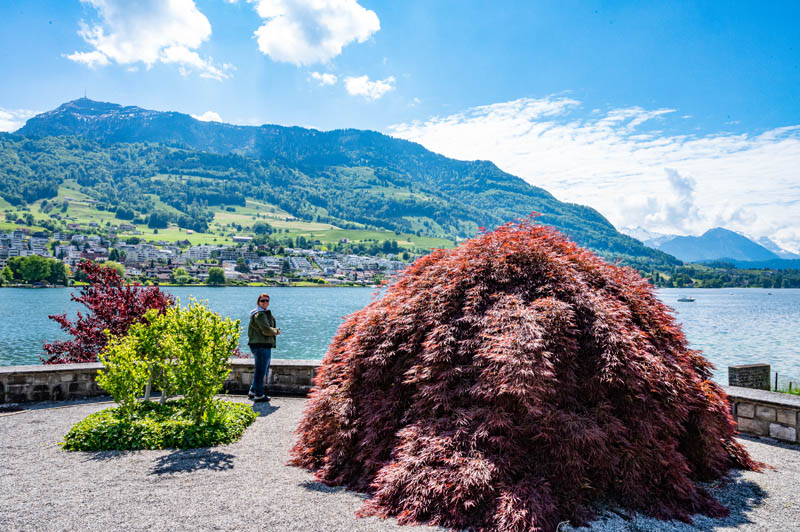 Zürcher Tour de Suisse