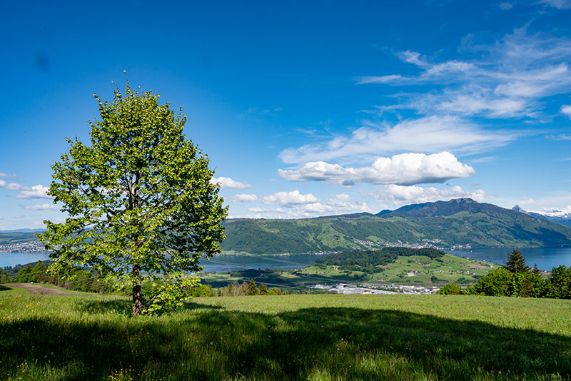 Schweizer Motorrad-Sightseeing-Tour